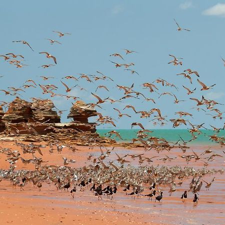 Broome Bird Observatory Kültér fotó